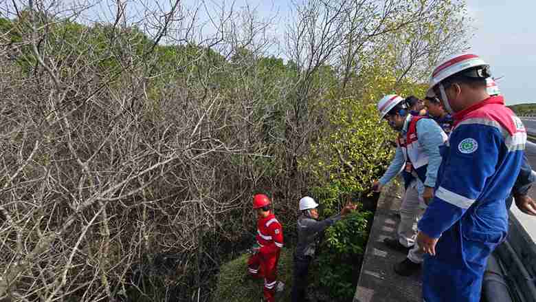 Mangrove Benoa Terdampak, Pertamina Lakukan Investigasi dan Pemulihan Ekosistem