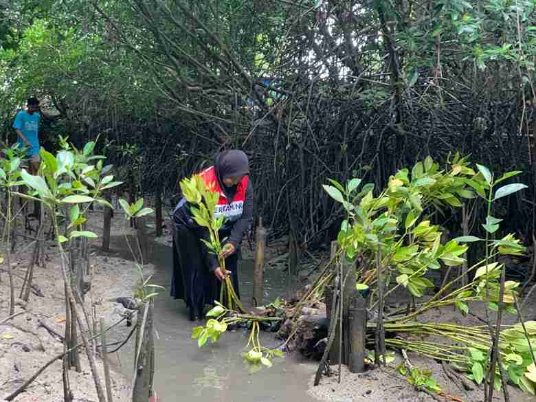 Komitmen Lingkungan: Pertamina Patra Niaga Fokus pada Pemulihan Ekosistem Mangrove Bali