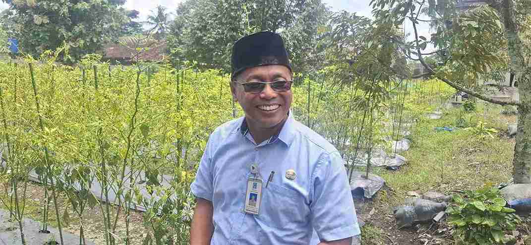 Sawah Menyusut, Sleman Tetap Surplus Pangan