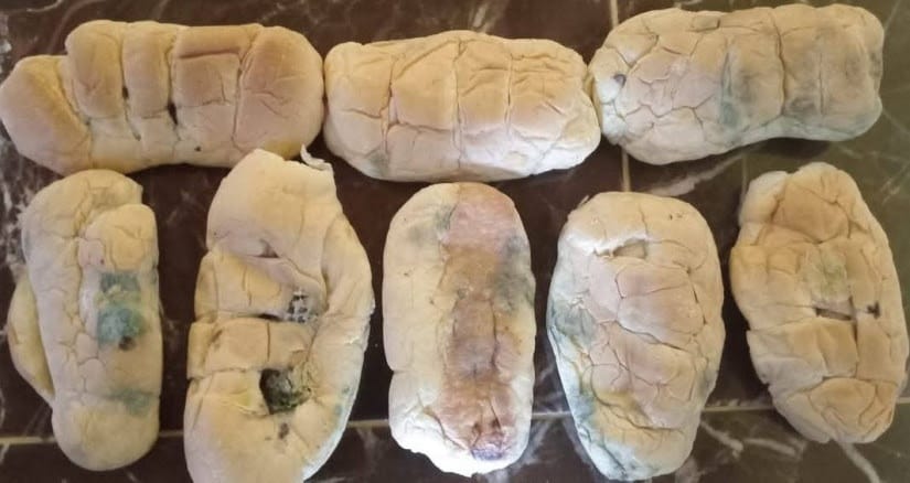 Guru Besar UGM: Roti Berjamur Tidak Layak Konsumsi, Risiko Kesehatan Nyata