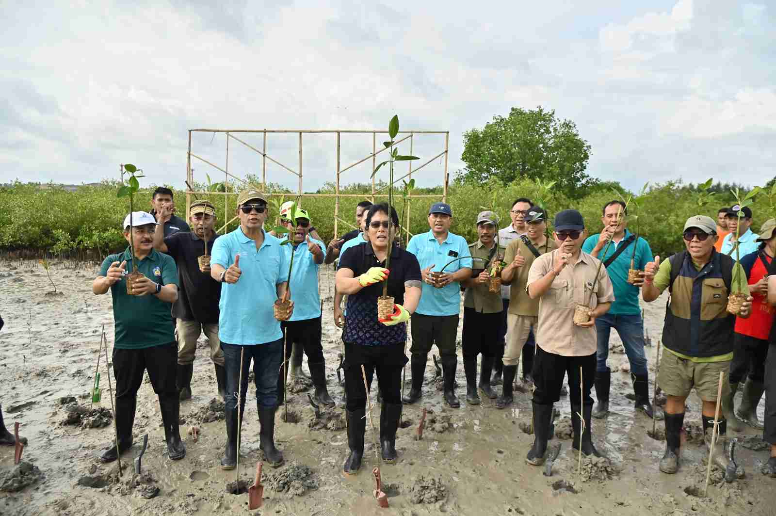 Aksi Tanam Mangrove SMSI Bali Jadi Momentum Jaga Ekosistem Pesisir