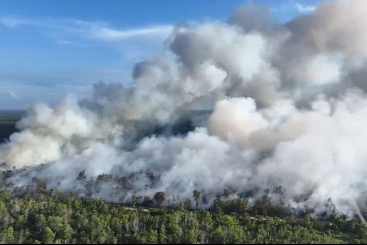 BMKG Prediksi Kemarau Lebih Dini, Risiko Karhutla Meningkat