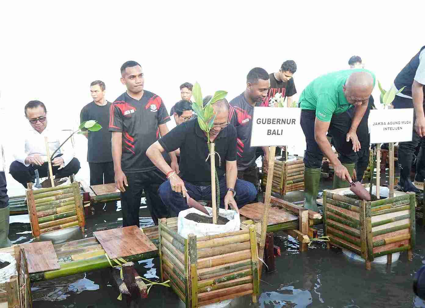 Mangrove untuk Masa Depan Bali, Pariwisata Berkelanjutan Jadi Tujuan
