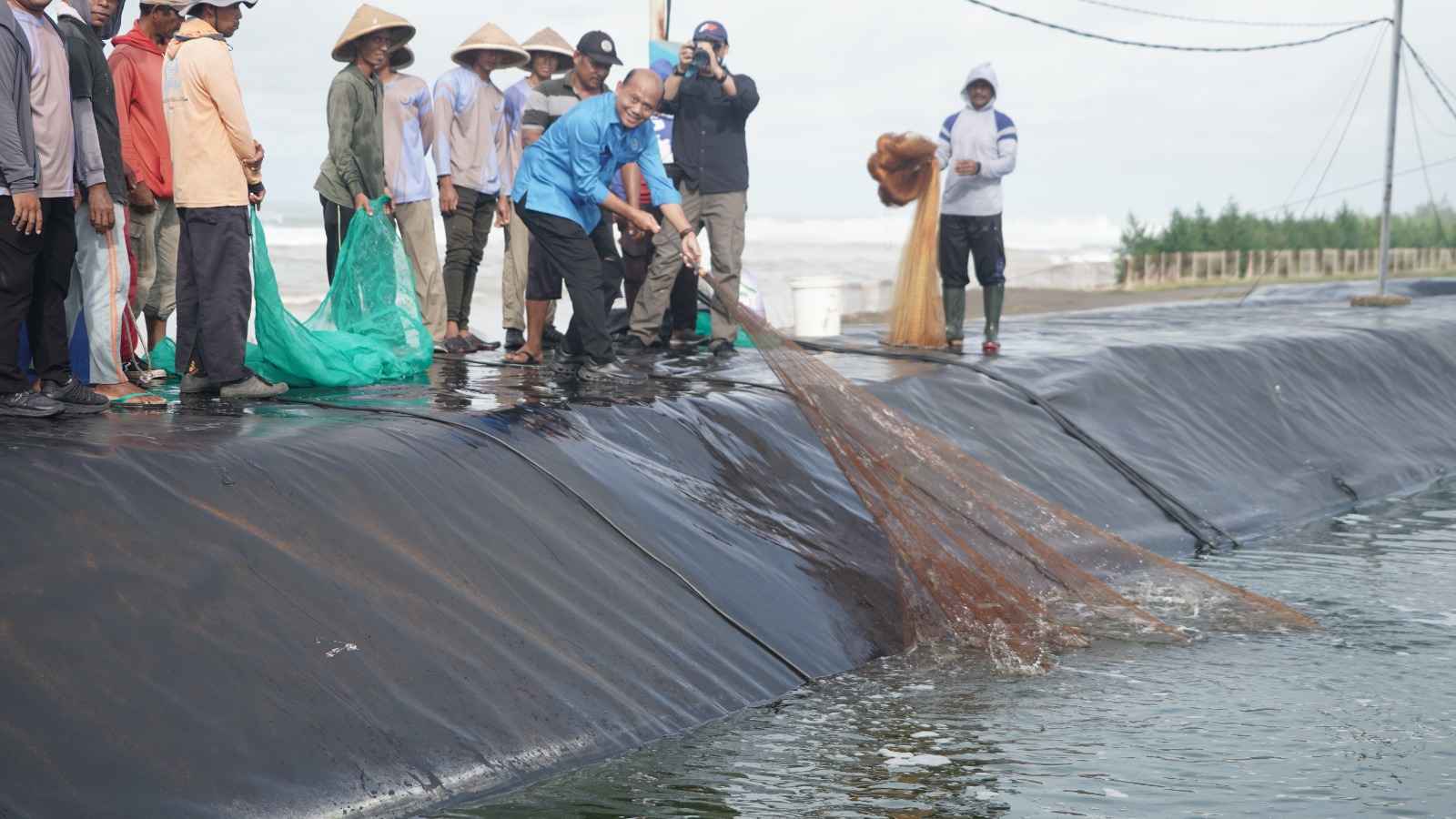 KKP: Tambak BUBK Kebumen Panen Gemilang, Dorong Industri Udang Berkelanjutan