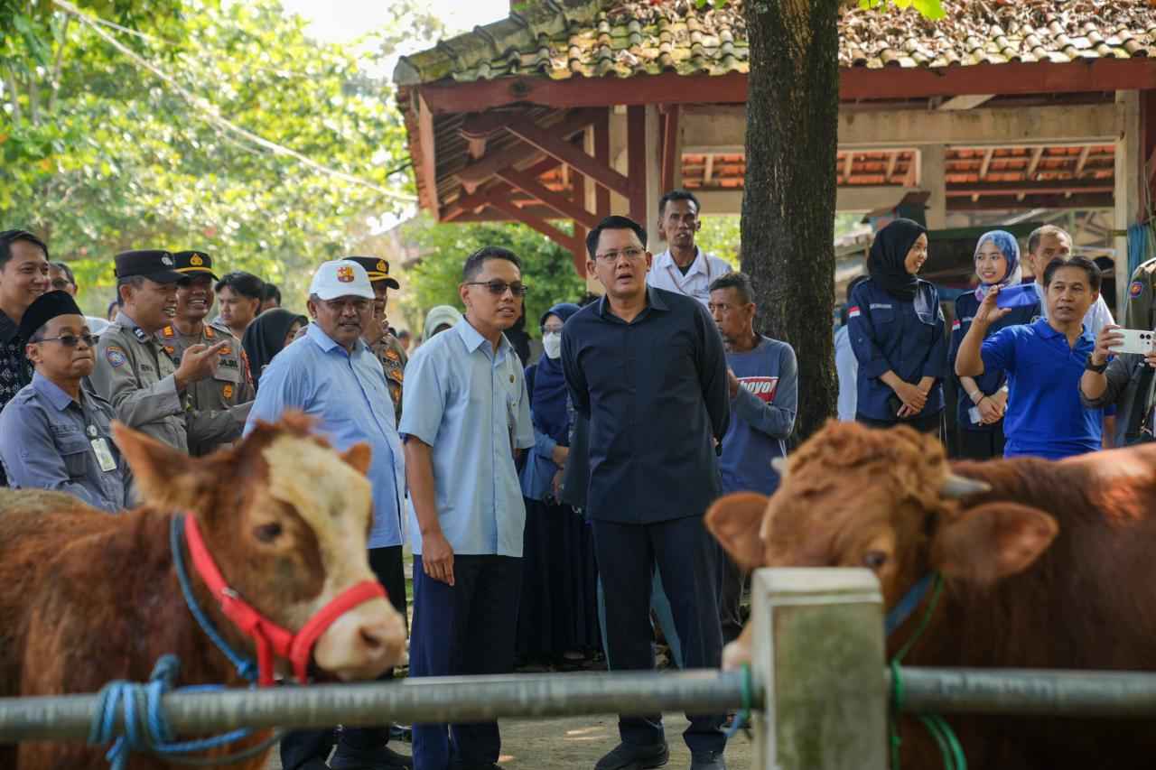 Stok Hewan Kurban Sleman Aman, Pengawasan Kesehatan Diperketat Jelang Iduladha 2026