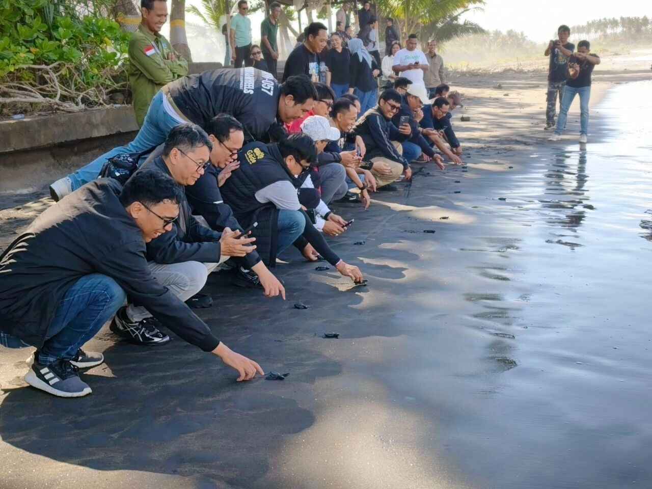 Pegadaian Kanwil VII Denpasar Wujudkan Kepedulian Lingkungan Lewat Pelestarian Penyu di KPP Jagat Kerthi