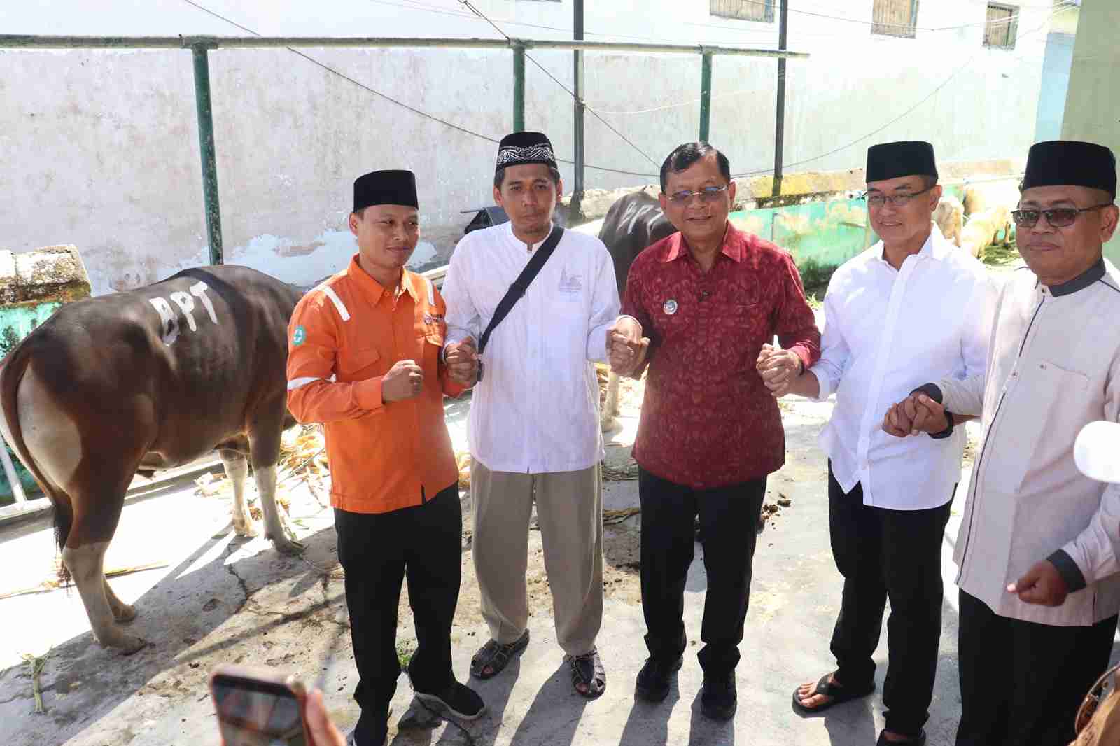Bupati Buleleng Serahkan Hewan Kurban, Perkuat Toleransi dan Semangat Berbagi