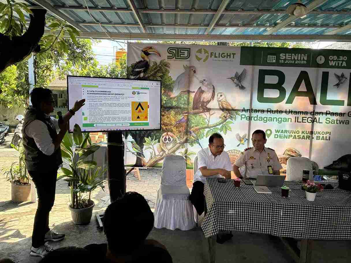 Dunia Konservasi Was-was: Bali Masih Jadi Jalur Utama Perdagangan Satwa Liar