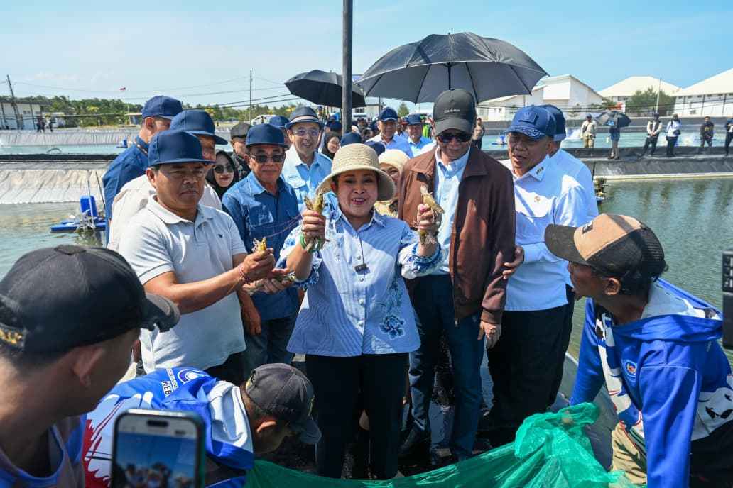 Panen Udang Kebumen Raih Apresiasi, Produksi Siklus ke-8 Tembus 254,5 Ton