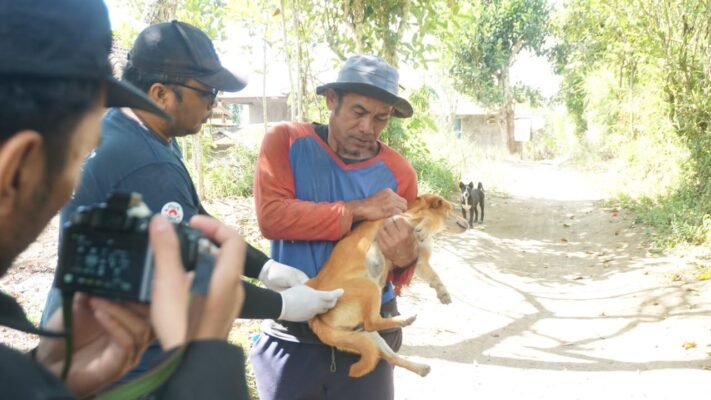 KKN UGM di Kintamani: Vaksinasi Rabies dan Edukasi Sayangi Hewan