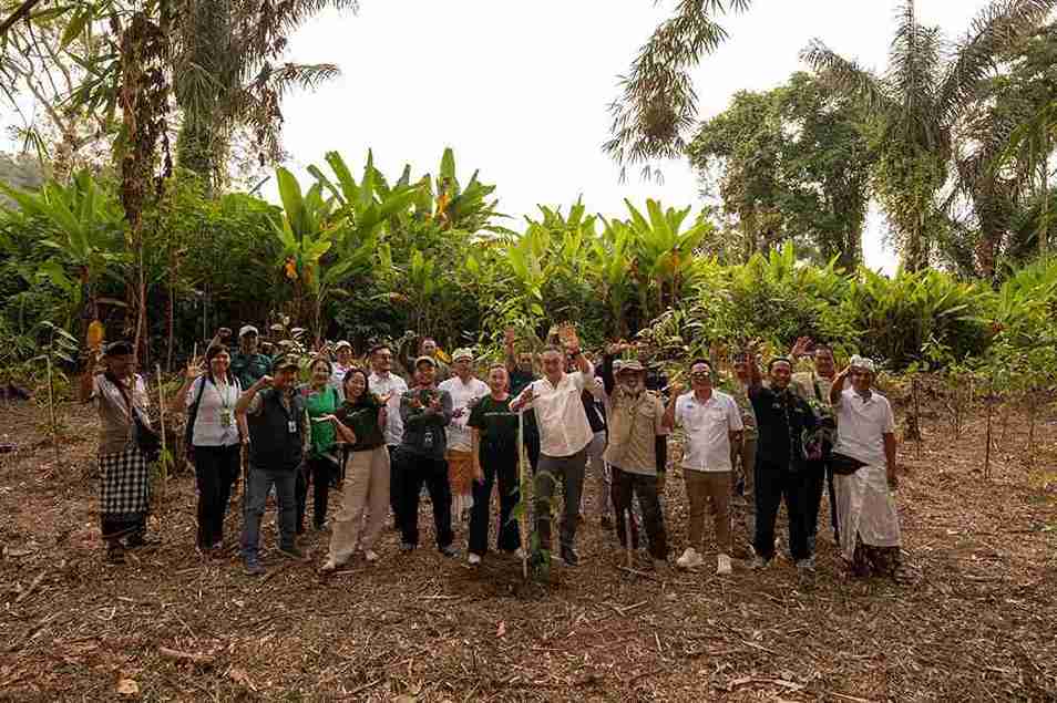 100 Pohon di Batukaru : Langkah Awal Kolaborasi Menjaga Hutan Bali