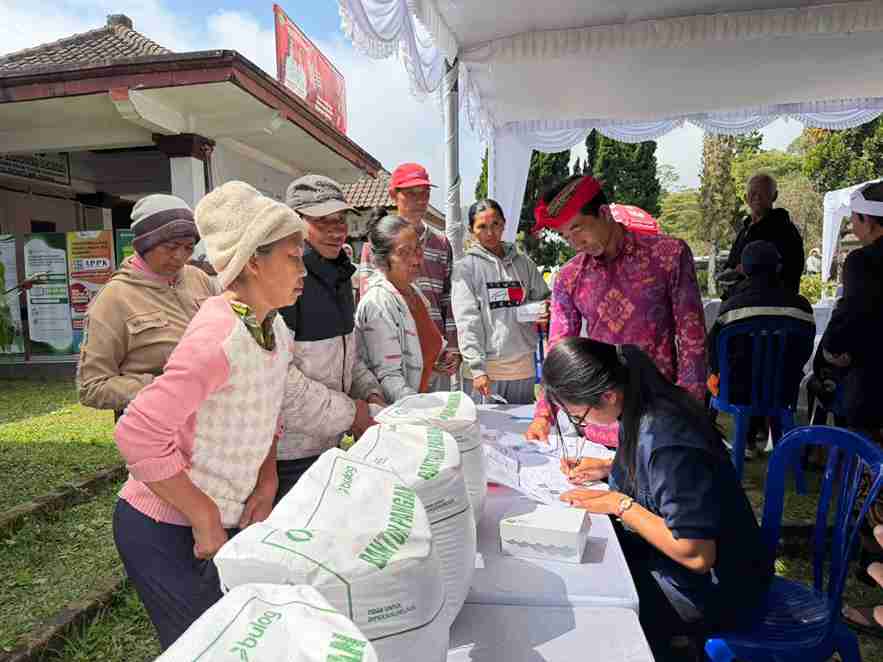 BULOG Bali Percepat Penyaluran Bantuan Pangan, Jangkau 37 Ribu Keluarga di Tabanan