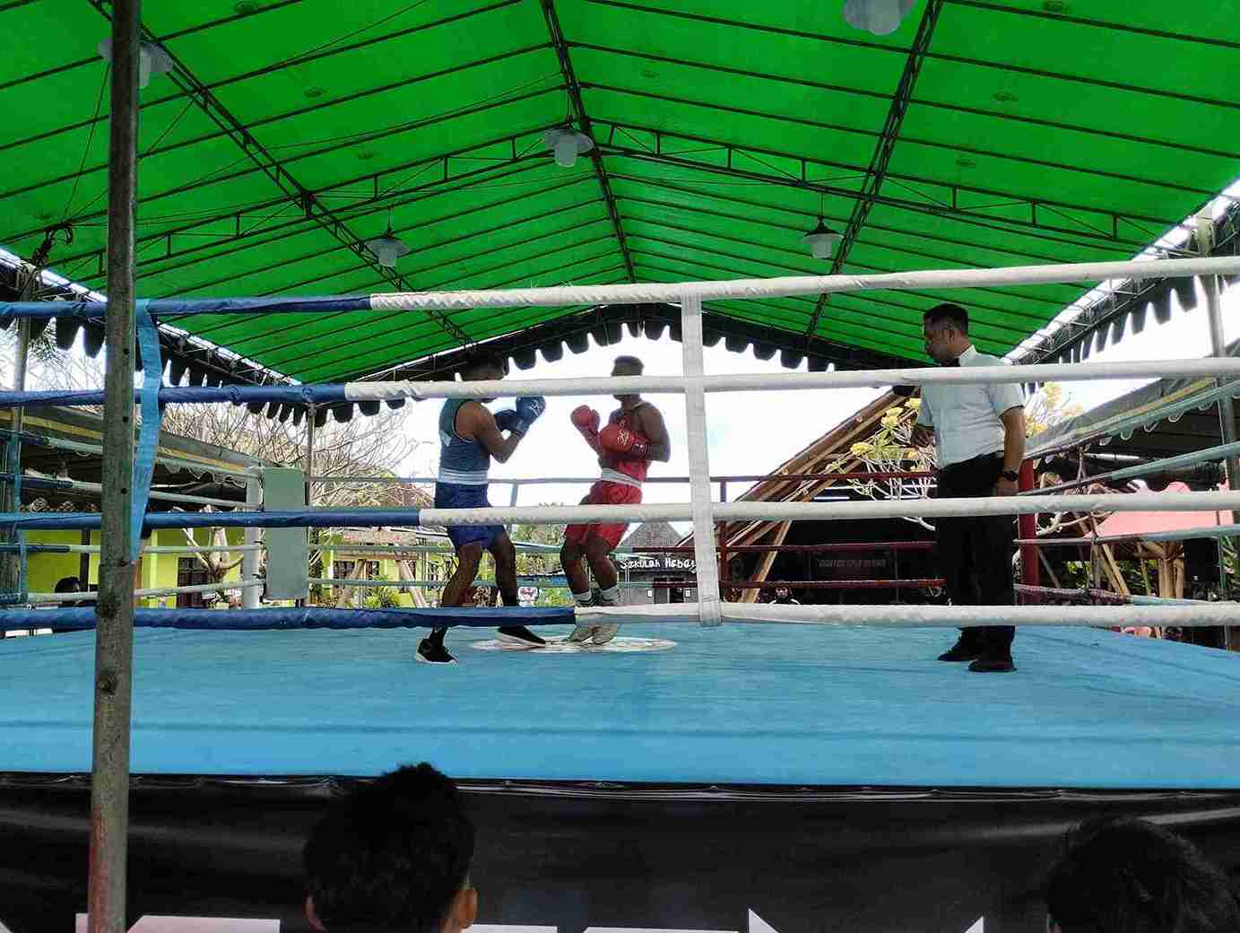 ‘Gianyar Open’ Panaskan Ring Tinju Bali: Lebih dari Sekadar Kompetisi, Ini Ajang Lahirnya Juara!