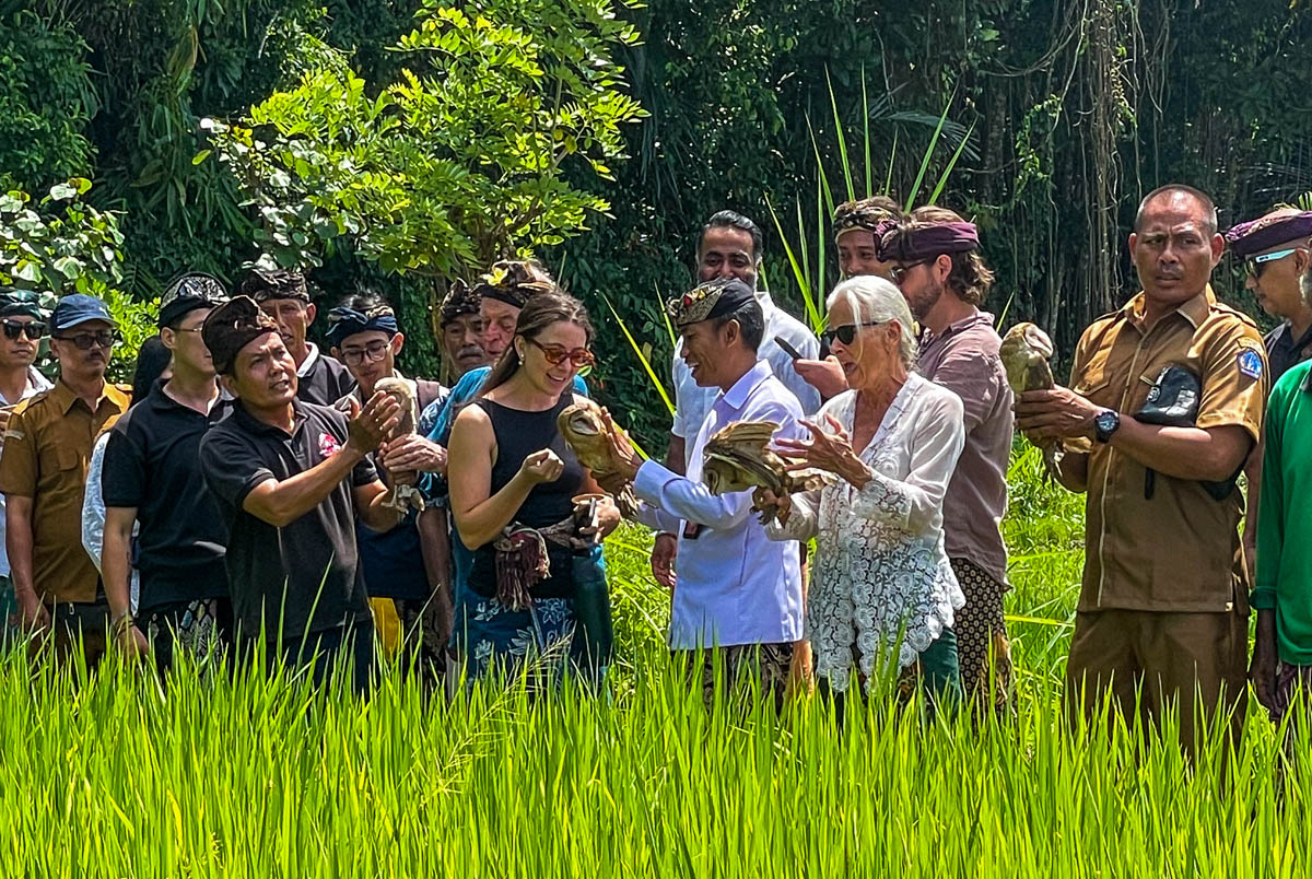Bambu Indah Lepas Burung Hantu di Bongkasa, Solusi Alami Atasi Hama Tikus