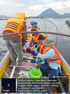 KKP Peringatkan Ancaman Kematian Ikan Massal di Waduk Jatilihur: Fenomena Alam