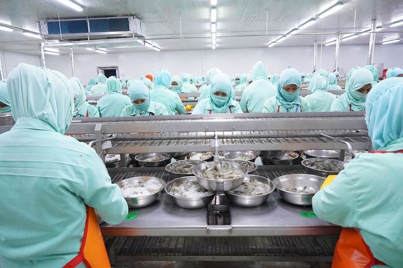 KKP Buka Peluang Pasar Baru Produk Udang Indonesia ke Jepang, Australia dan Korsel
