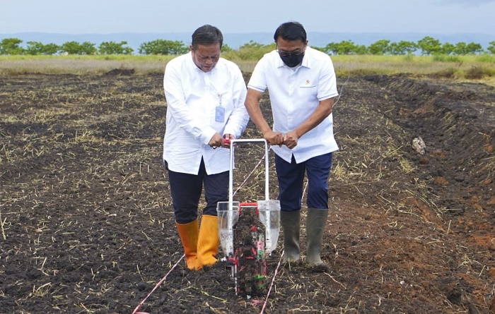 Moeldoko Ingin Sumba sebagai Pulau Sorgum, Jadi Cadangan Pangan Nasional