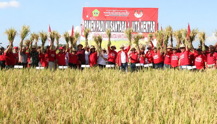 Panen Padi Nusantara 1 Juta Hektar di Tabanan