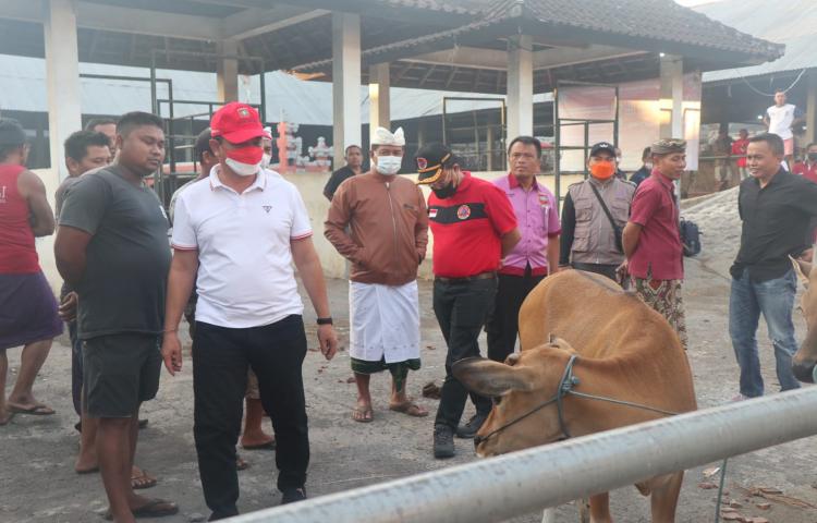 Bupati Gede Dana Pastikan Kesiapan Pengawasan Medik Veteriner Pasar Hewan Sehat Bebas PMK