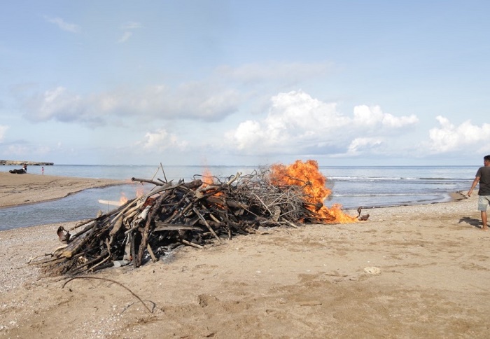 Paus Sperma Terdampar di NTT Dibakar, BKKPN Kupang Cegah Penyebaran Penyakit