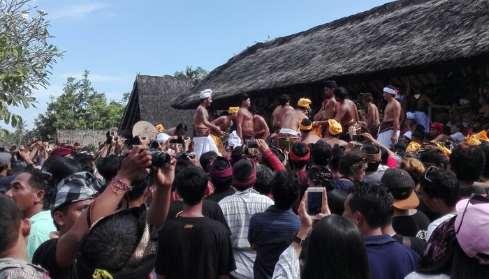 Makna Ketulusan Dibalik Tradisi Perang Pandan di Desa Tenganan Bali