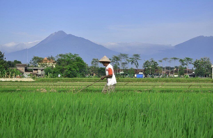 Tanah yang Hilang, Harapan Tetap Ada
