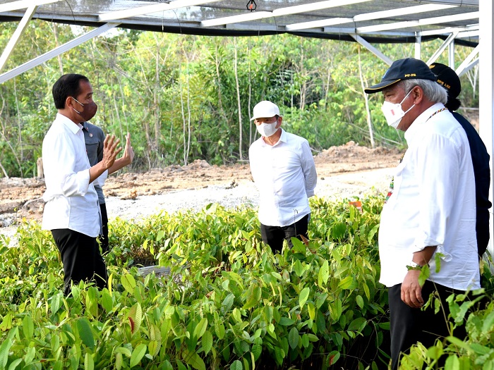 Presiden Jokowi Tegaskan IKN Nusantara Berkonsep Kota Hutan