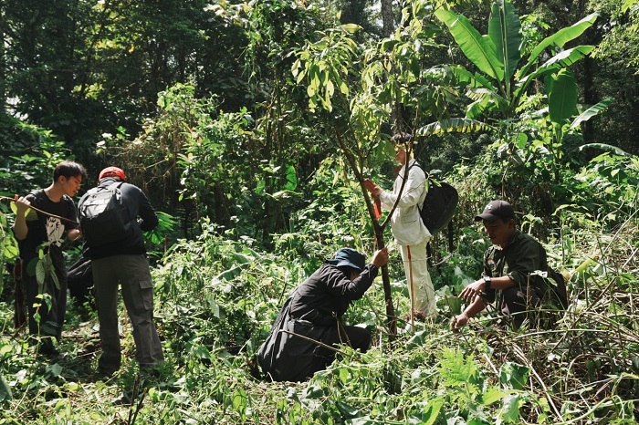 Langkah Nyata Cegah Krisis Air: Penanaman 1.000 Bibit Pohon di Kawasan Panca Desa Bali Aga