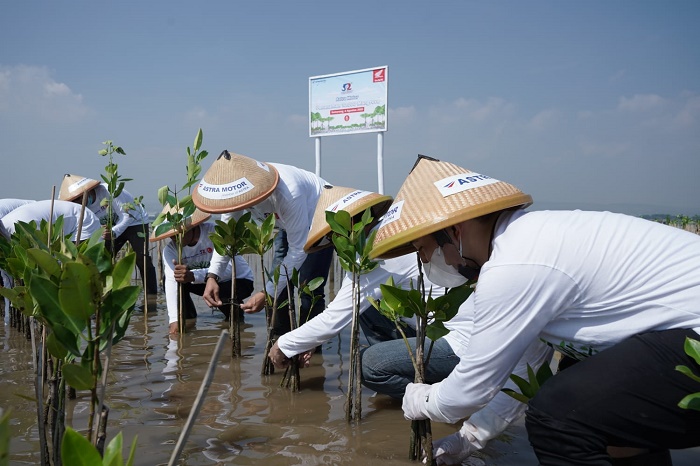 Penanaman 10.000 Mangrove Akhiri Rangkaian HUT ke-52 Tahun Astra Motor