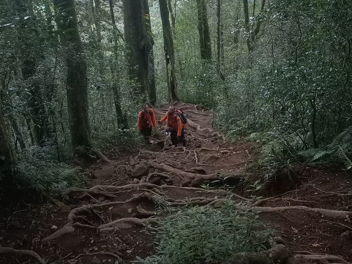 Empat Pendaki Tersesat di Gunung Batukaru Berhasil Dievakuasi!