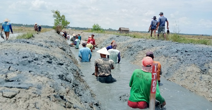 Tingkatkan Perekonomian dan Produktivitas Tambak Rakyat, KKP Dukung PITAP