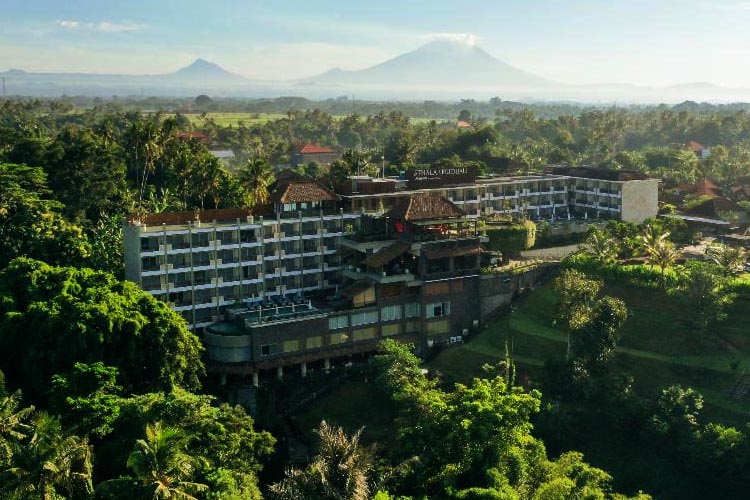 Ketika Dunia Jatuh Cinta pada Ubud: Wisatawan Wajib Coba 10 Aktivitas Ini