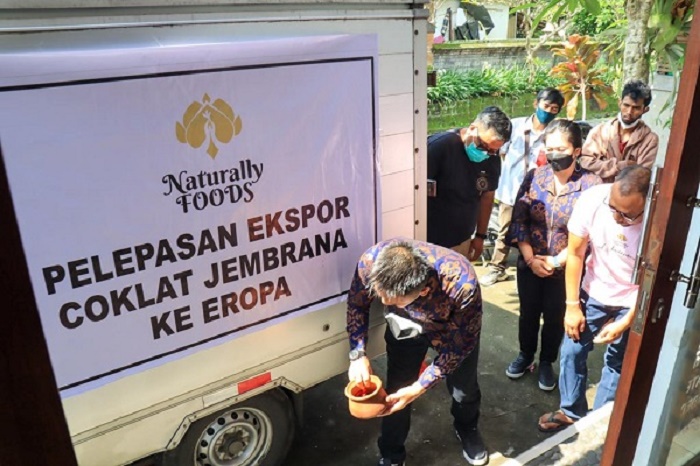 Wabup Patriana Krisna Lepas Ekspor 1,5 Ton Produk Olahan Coklat Jembrana ke Eropa