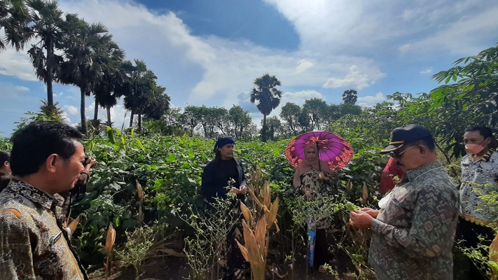 Karangasem Ingin Jadi Sentra Kapas dan Benang di Bali