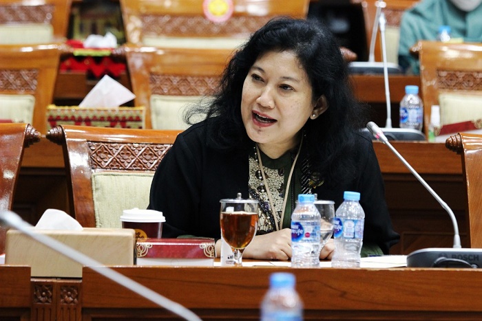 UU TPKS, LPSK Ungkap Ada Tujuh Muatan Progresif