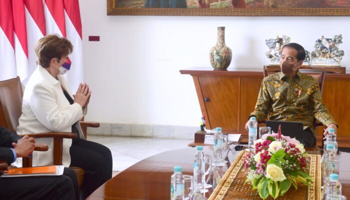 IMF Harapkan Kepemimpinan Indonesia di G20 Dukung Langkah Institusi Hadapi Krisis