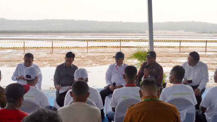 Wakil Presiden RI Tinjau K-SIGN, Pemerintah Percepat Swasembada Garam Nasional