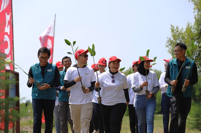 AHM Gerakkan Karawang Menghijau: Puluhan Ribu Mangrove Ditanam untuk Masa Depan Bumi!