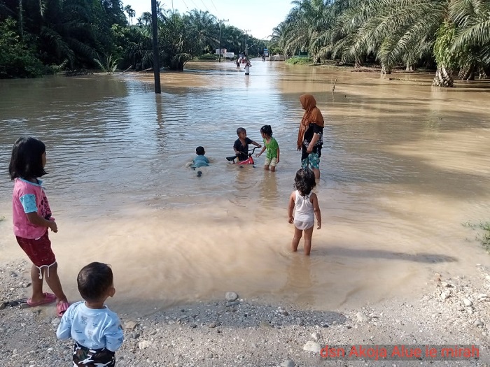 Ratusan Rumah Warga Terendam Banjir di Aceh Timur