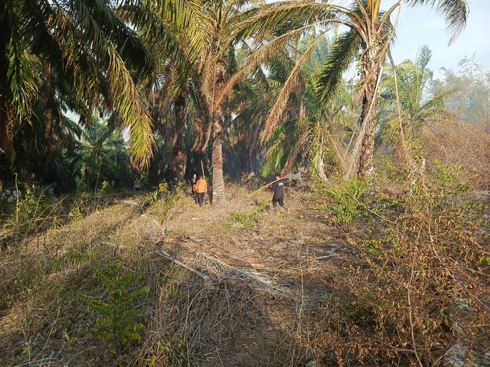 BNPB Ungkap Bencana Poso hingga Flores Timur yang Tewaskan Warga