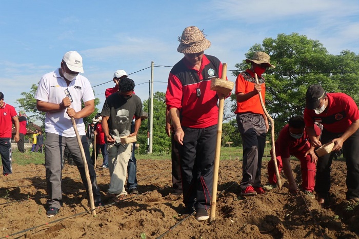 Wujudkan Karangasem Sentra Produksi Kapas Bali, Ini Langkah Bupati Gede Dana