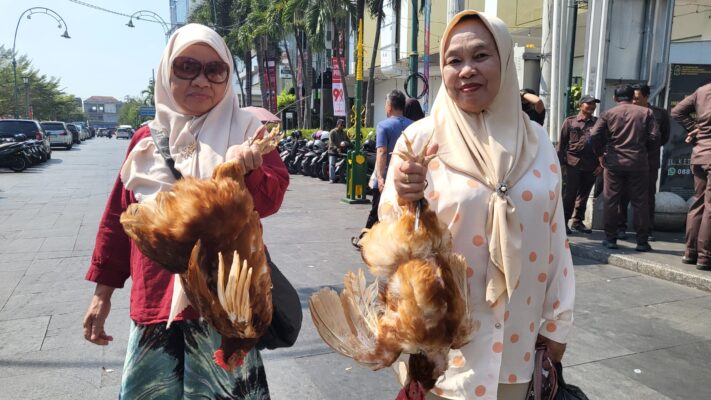 Aksi Damai Peternak di DPRD DIY: Protes Harga Pakan Melambung dan Bagikan Ribuan Ayam Afkir