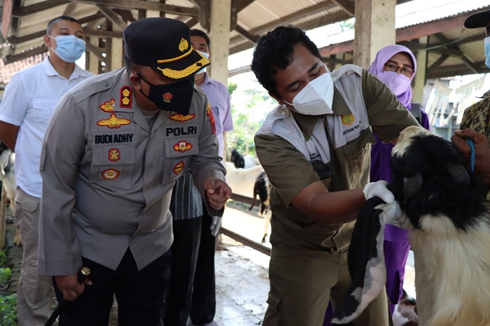 Kapolres Demak Blusukan ke Kandang dan Pasar, Antisipasi Penularan Virus PMK Hewan Ternak