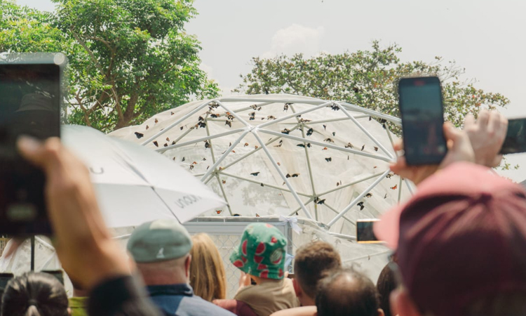 Nuanu Creative City Cetak Rekor, Lepas 5.000 Kupu-Kupu ke Habitat Alami